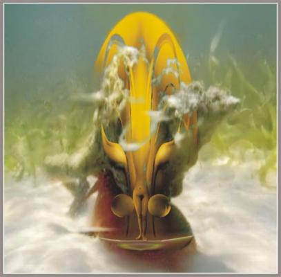 Bild 5-12 (2002) -Hans-Dieter Grossmann- - Dieter Grossmann - auf - Array - Bild 5-12 (2002) -Hans-Dieter Grossmann- - Dieter Grossmann - auf - Array -