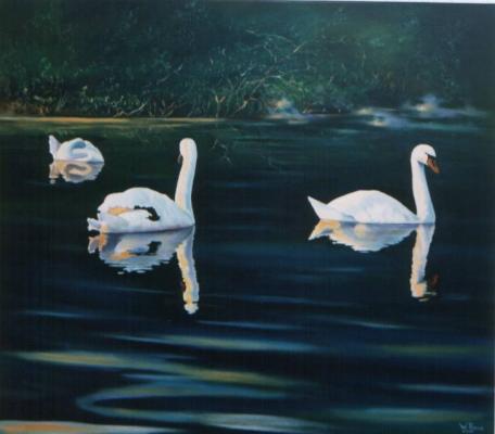 aufwachende Schwäne - Wolfgang Rose - Array auf Array - Array - aufwachende Schwäne - Wolfgang Rose - Array auf Array - Array -