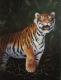 Sibirischer Tiger Sibirischer Tiger