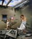 The pink ball (1985) Roland Heyder The pink ball (1985) Roland Heyder