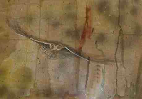 Eule im Anflug (2002) Helmut Herzog - Helmut Herzog - Array auf Array - Array - Eule im Anflug (2002) Helmut Herzog - Helmut Herzog - Array auf Array - Array -