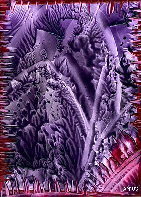 Encaustic Nr1. - TAN (Tanja Meyer) - Tan - auf Array - Array - Encaustic Nr1. - TAN (Tanja Meyer) - Tan - auf Array - Array -