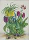 Kleines Blumenstück (2001) Christine Becker Kleines Blumenstück (2001) Christine Becker