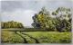 Abendspaziergang (2006) - Christine Becker - Tinte-Tusche auf Papier - Sonstiges - 