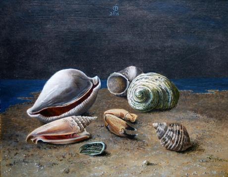 Muscheln (2006) - Christine Becker - Array auf Array - Array - Muscheln (2006) - Christine Becker - Array auf Array - Array -