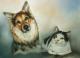 Aiko & Gismo - Karin Schnabl Aiko & Gismo - Karin Schnabl