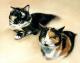 Katzen-Duo - Karin Schnabl Katzen-Duo - Karin Schnabl