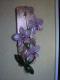 Orchidee - Rita Poos Orchidee - Rita Poos