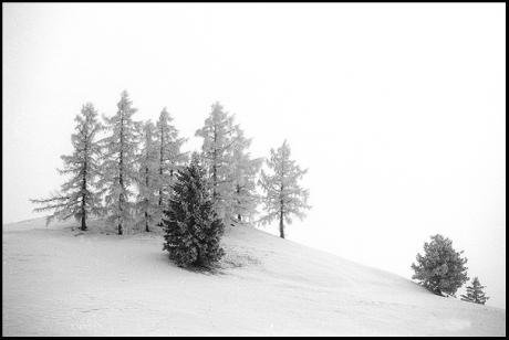 Winter - Norbert Felzl - Norbert Felzl - auf - Array - Winter - Norbert Felzl - Norbert Felzl - auf - Array -