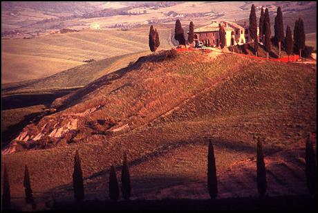 a toscana scene 2 (2001) Norbert Felzl - Norbert Felzl - auf - Array - a toscana scene 2 (2001) Norbert Felzl - Norbert Felzl - auf - Array -