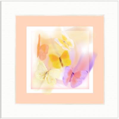 Schmetterlinge (2000) Armin Mumper - Armin Noris - Array auf - Array - Schmetterlinge (2000) Armin Mumper - Armin Noris - Array auf - Array -