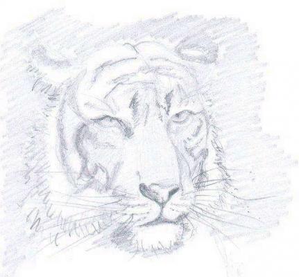 Tiger (2003) -Steffen Strobel- - Steffen Strobel - Array auf - Array - Tiger (2003) -Steffen Strobel- - Steffen Strobel - Array auf - Array -