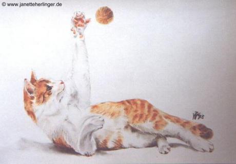 Katzen-Ball (1993) Janette Herlinger - Janette Herlinger - Array auf Array - Array - Katzen-Ball (1993) Janette Herlinger - Janette Herlinger - Array auf Array - Array -