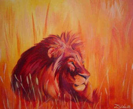 Lion (2004) - Dida - Dida - Array auf Array - Array - Lion (2004) - Dida - Dida - Array auf Array - Array -