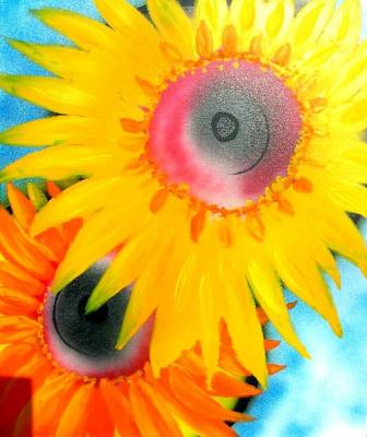 Aneinander - Regina Sykora - Array auf Array - Array - Aneinander - Regina Sykora - Array auf Array - Array -