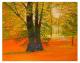 Herbstspaziergang - Regina Sykora Herbstspaziergang - Regina Sykora