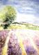 Lavendelfeld in der Provence (2003) Agnes Vonhoege - Agnes Vonhoegen - Aquarell auf Papier - Sonstiges - 