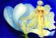 Geburt der Venus (2010) Geburt der Venus (2010)