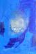 no title -  Lositheed -  auf  - Sonstiges - 