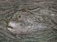 18. FISCH IN PAPPEL - Burre Carmen -  auf  - Sonstiges - 