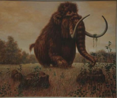 Mammut - Ludwig Möller - Ludwig Möller - Array auf Array - Array - Mammut - Ludwig Möller - Ludwig Möller - Array auf Array - Array -