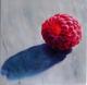 Himbeere (2005) Himbeere (2005)