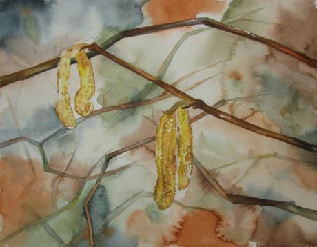 Hasel im Frühling 2 (2006) - Hanka & Frank Koebsch - Array auf Array - Array - Hasel im Frühling 2 (2006) - Hanka & Frank Koebsch - Array auf Array - Array -