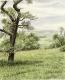 Clouded Summerday (2001) Clouded Summerday (2001)