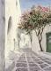 Griechische Gasse (2002) Griechische Gasse (2002)