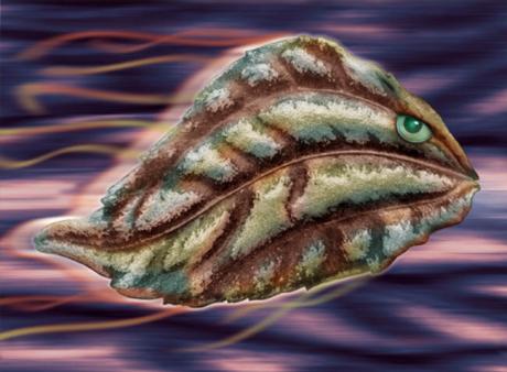 01-410 Marco (2006) - Ulrich Hohloch - auf - Array - 01-410 Marco (2006) - Ulrich Hohloch - auf - Array -