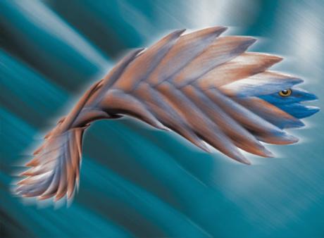 01-411 Mystero (2006) - Ulrich Hohloch - auf - Array - 01-411 Mystero (2006) - Ulrich Hohloch - auf - Array -