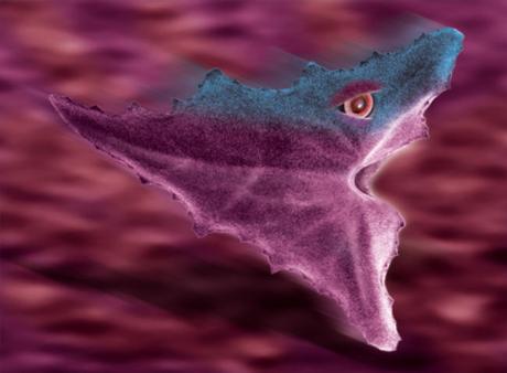 01-413 Oraco (2006) - Ulrich Hohloch - auf - Array - 01-413 Oraco (2006) - Ulrich Hohloch - auf - Array -