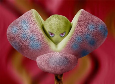 02-415 Mißtrauen (2006) - Ulrich Hohloch - auf - Array - 02-415 Mißtrauen (2006) - Ulrich Hohloch - auf - Array -