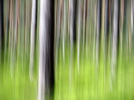 Wood Painting - Walter J. Pilsak - Array auf - Array - Wood Painting - Walter J. Pilsak - Array auf - Array -