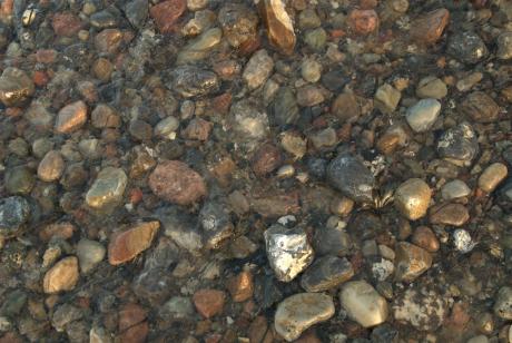 Steine im Wasser - Max Nemo Mertens - auf - Array - Steine im Wasser - Max Nemo Mertens - auf - Array -