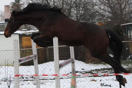 Der Sprung - Alexander Hobert - auf - Array - Der Sprung - Alexander Hobert - auf - Array -