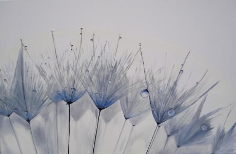 Pusteblume - Irmela Hauffe - Array auf Array - Array - Array Pusteblume - Irmela Hauffe - Array auf Array - Array - Array