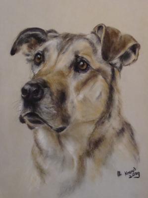 Hundeportrait - Christine Krauß - Array auf - Array - Hundeportrait - Christine Krauß - Array auf - Array -