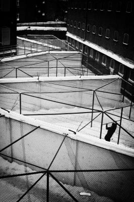 Neues Kunstwerk - Agnieszka Prusak - auf - - Neues Kunstwerk - Agnieszka Prusak - auf - -