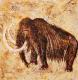 Mammut Mammut