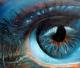 Behaltet den Wald im Auge Behaltet den Wald im Auge