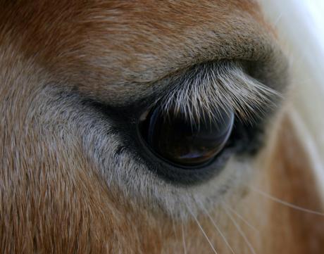 Augenblick 1 - atelier zerah - auf - Array - Augenblick 1 - atelier zerah - auf - Array -