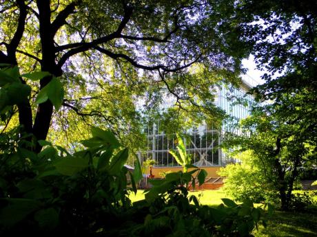 Im Botanischen Garten in Halle an der Saale - Wolfgang Bergter - Array auf Array - Array - Im Botanischen Garten in Halle an der Saale - Wolfgang Bergter - Array auf Array - Array -