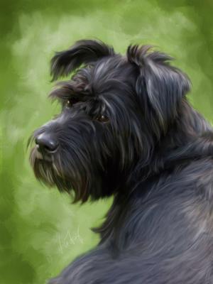 Sina - Doreen Näther - Array auf - Array - Sina - Doreen Näther - Array auf - Array -