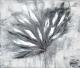 Plume Plume