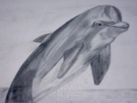 Delphin - Marion Sauer - auf - Array - Delphin - Marion Sauer - auf - Array -