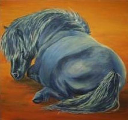 Islandpferd 1 - Laura Fehlauer - Array auf Array - Array - Islandpferd 1 - Laura Fehlauer - Array auf Array - Array -