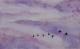 Purple Sky Purple Sky