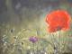 Sommerwiese - ---- heike - Ãl auf Leinwand - Mohn-Wiese - Klassisch-Naturalismus Sommerwiese - ---- heike - Ãl auf Leinwand - Mohn-Wiese - Klassisch-Naturalismus