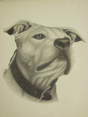 mein Hund - Marc Fregona - Array auf Array - - Array mein Hund - Marc Fregona - Array auf Array - - Array